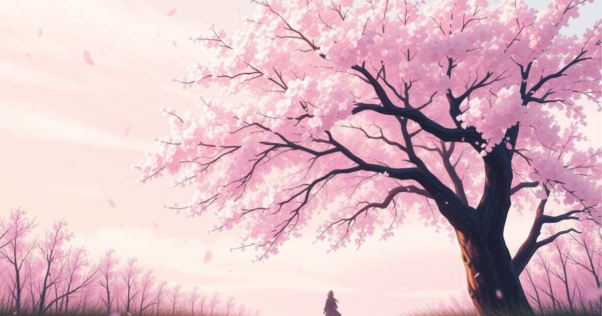 cherry blossom captions